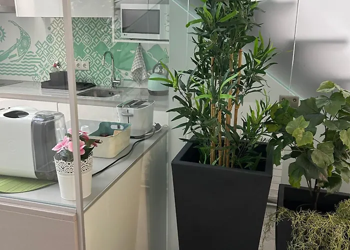 בית הארחה Casa Do Cais